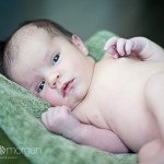 A bundle of newborn perfection – Meet Ella – Norco Newborn Photography