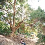 Mike and Jackie – Laguna Canyon and Laguna Coves – Laguna Beach Engagement Photographer